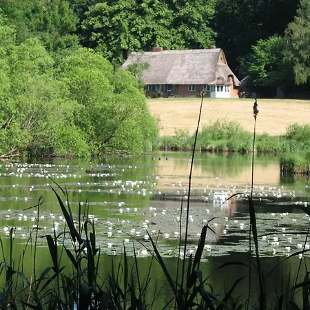 Nuetschau Bad Oldesloe