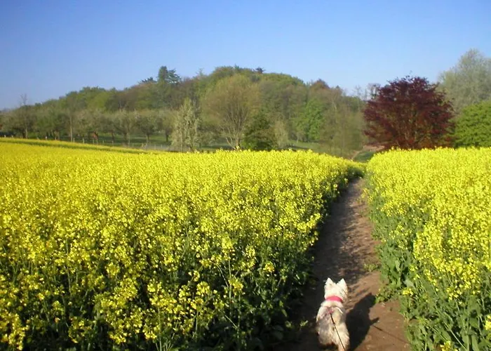 Bed & Breakfast Nuetschau 3*