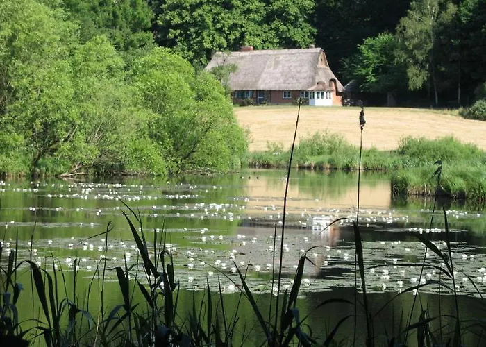 Nuetschau Bad Oldesloe